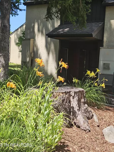 115 Beechnut St #E5, Johnson City, TN 37601