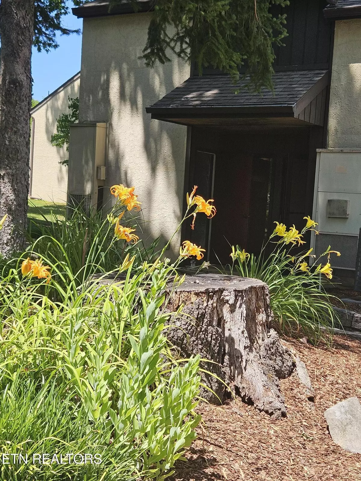 Johnson City, TN 37601,115 Beechnut St #E5