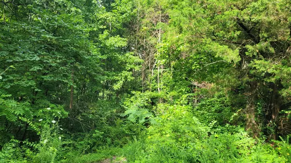Spring Hill, TN 37174,1 Sugar Ridge Rd