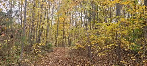 Spring Hill, TN 37174,1 Sugar Ridge Rd