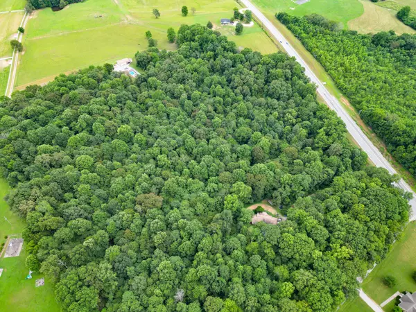 Pleasant View, TN 37146,6150 Highway 41A