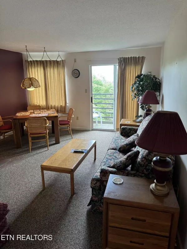 Gatlinburg, TN 37738,1260 Ski View Drive #5105