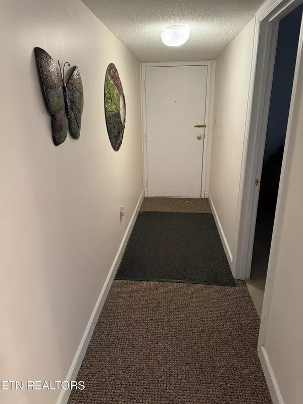 Gatlinburg, TN 37738,1260 Ski View Drive #5105