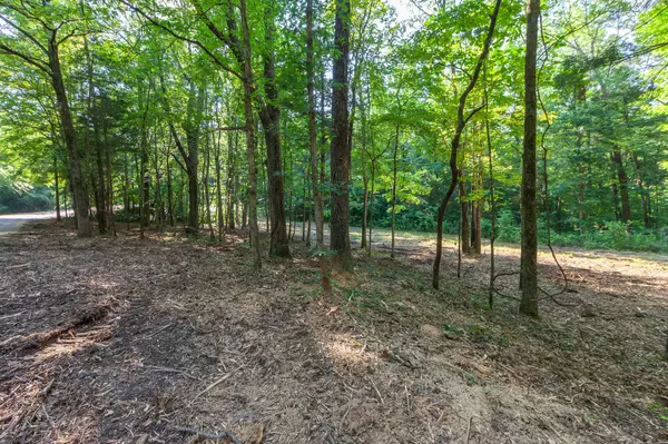 Middleton, TN 38052,0 Foster Rd