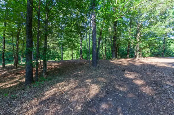Middleton, TN 38052,0 Foster Rd
