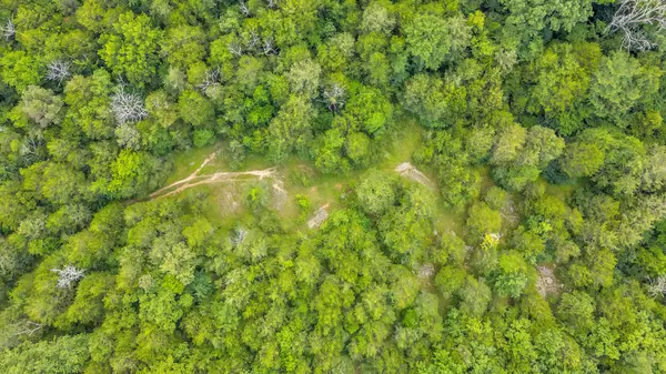 Rockvale, TN 37153,0 Morgan Rd