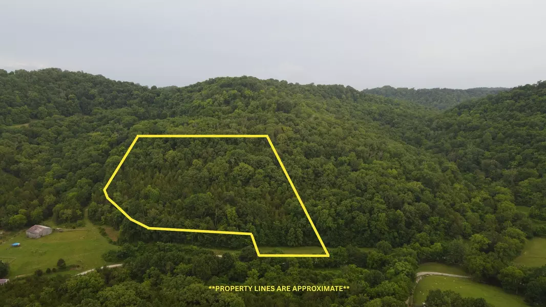 0 Hackett Hollow Ln, Pleasant Shade, TN 37145