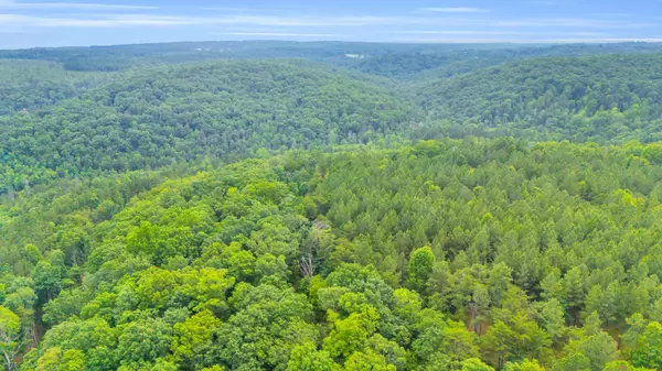 0 Worley Road, Soddy Daisy, TN 37379