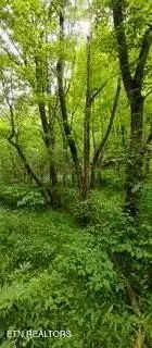 Newport, TN 37821,966 St. Tide Hollow Road