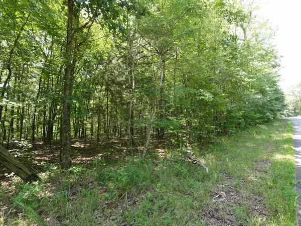 Mc Ewen, TN 37101,5 Tummins Rd