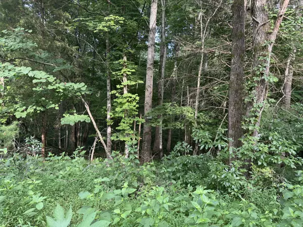 Westmoreland, TN 37186,0 Pryor Lane