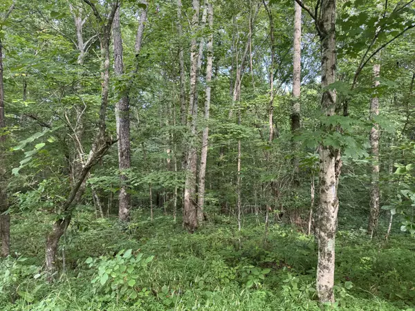 Westmoreland, TN 37186,0 Pryor Lane