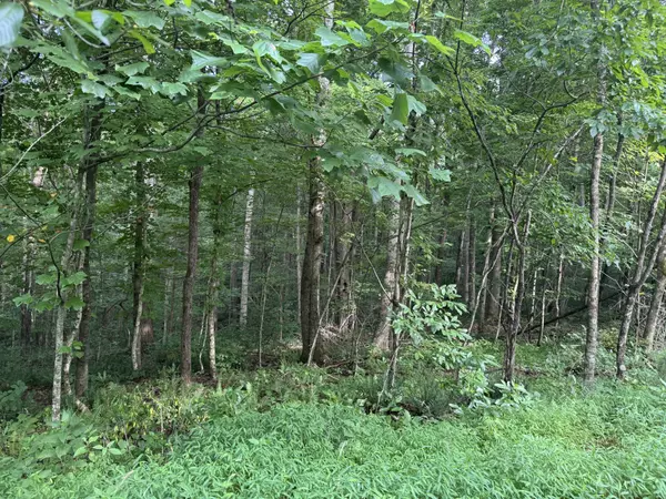 Westmoreland, TN 37186,0 Pryor Lane