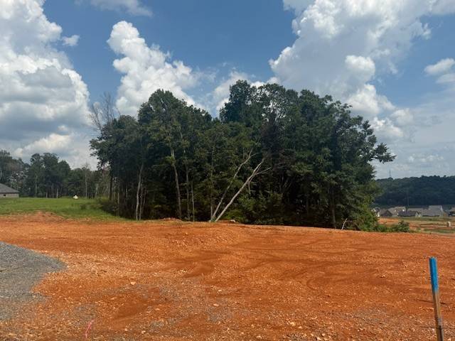 295 Cardinal Creek, Clarksville, TN 37040