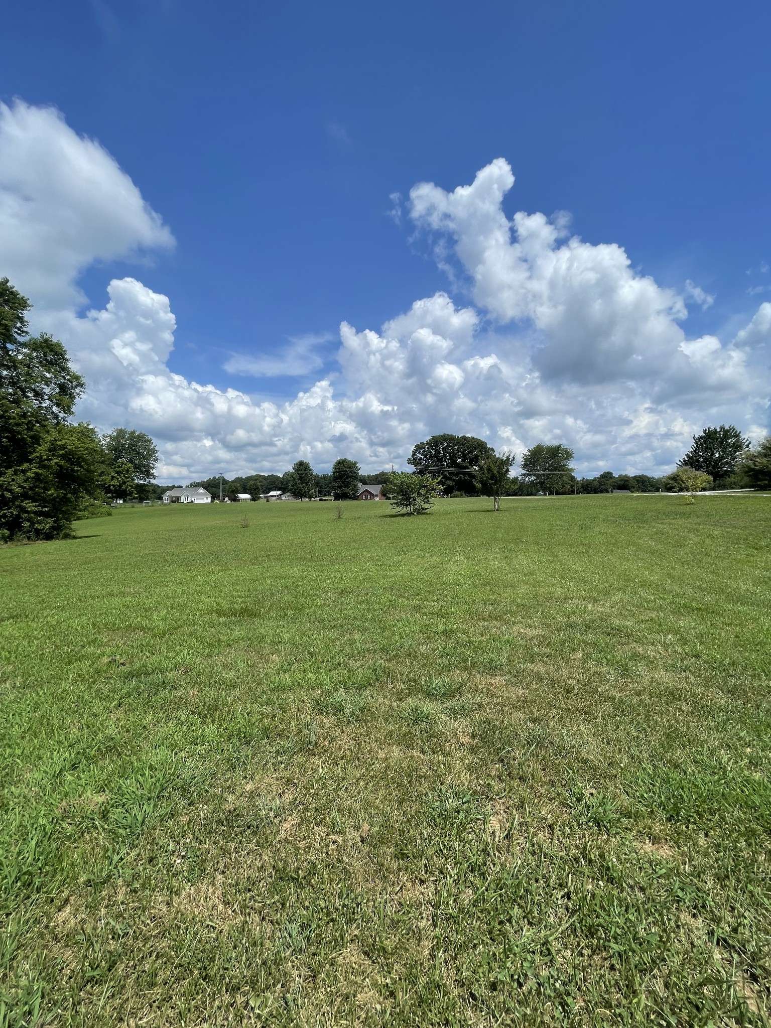 Bon Aqua, TN 37025,1316 Abiff Rd