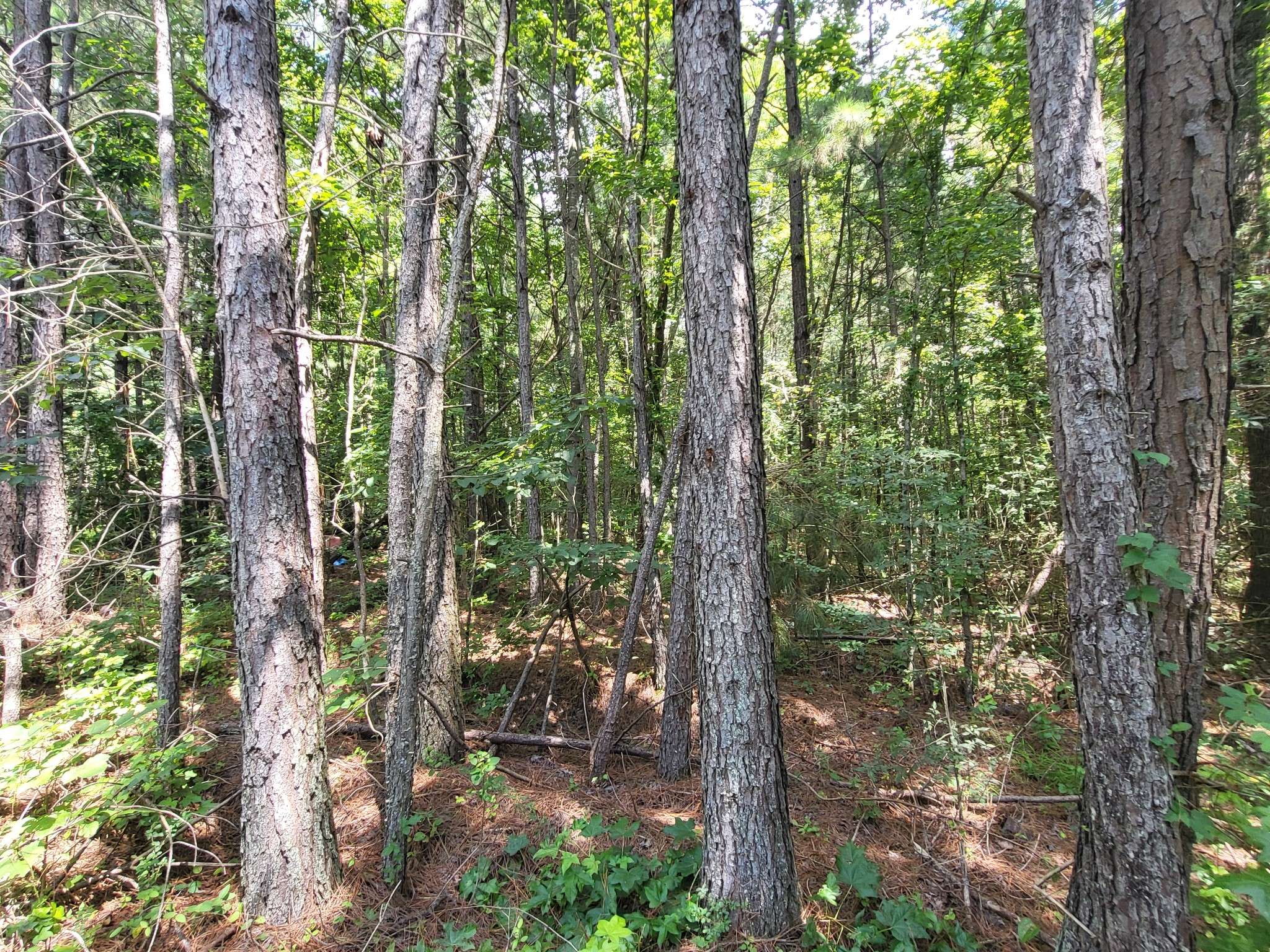 2 Chestnut Hill Rd, Eva, TN 38333