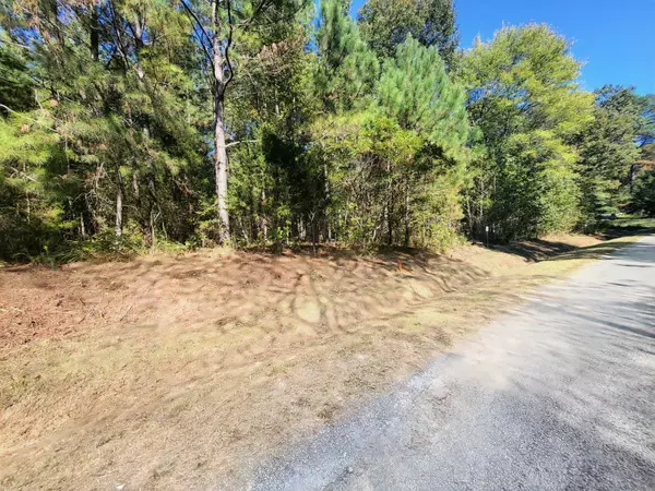 3 Chestnut Hill Rd, Eva, TN 38333