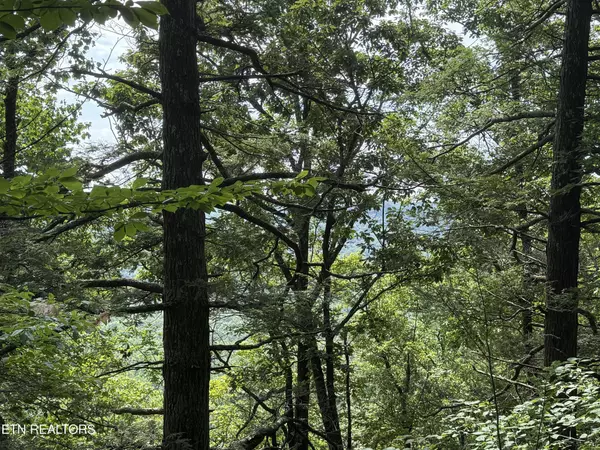 Monterey, TN 38574,855 Eastridge Pass