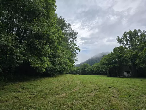 Pleasant Shade, TN 37145,296 Little Creek Rd