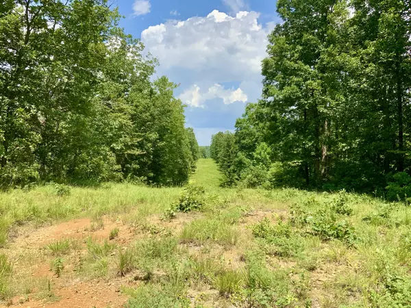 Waverly, TN 37185,0 Bear Creek Road