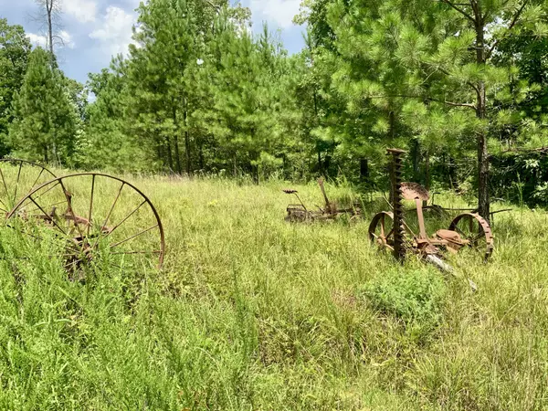 Waverly, TN 37185,0 Bear Creek Road