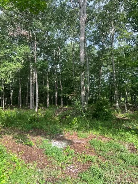 0 Lakewood Park Rd, Beechgrove, TN 37018