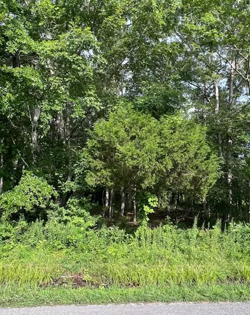 Beechgrove, TN 37018,0 Lakewood Park Rd