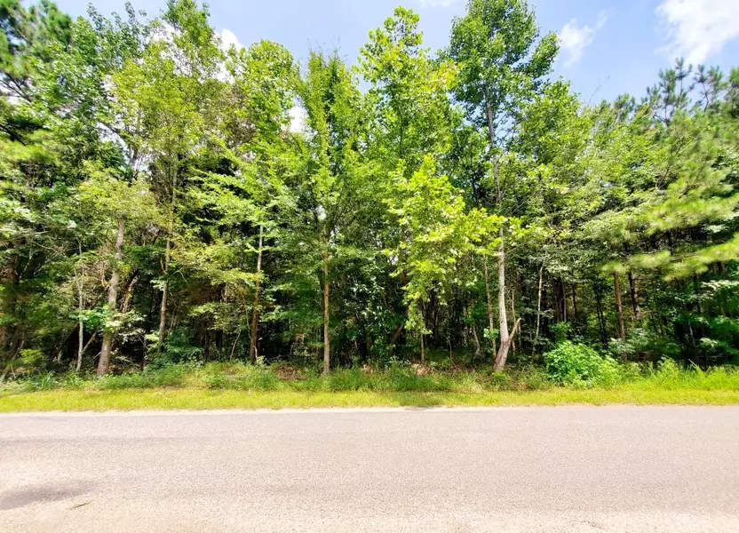 0 Bethel Farm Loop, Camden, TN 38320