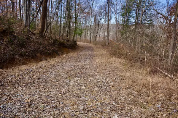 Dunlap, TN 37327,0 Meadow Lark