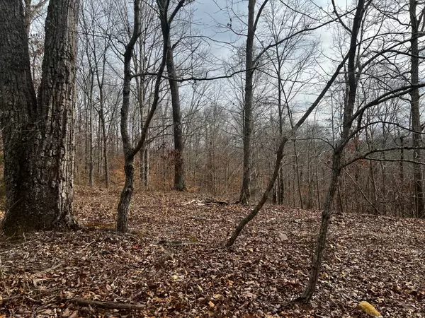Dover, TN 37058,610 Bumpus Mills Rd