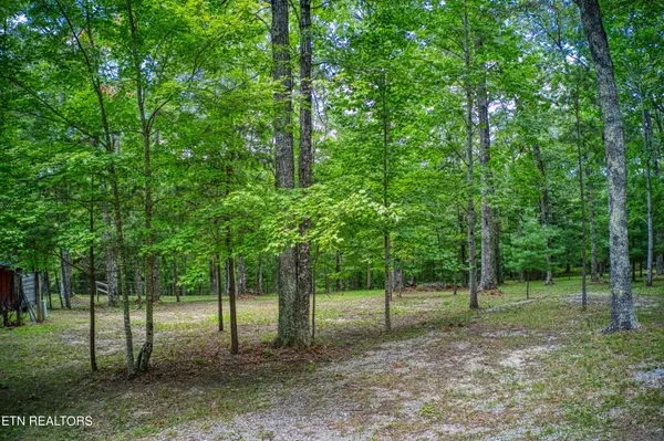 Jamestown, TN 38556,265 Johnson Place