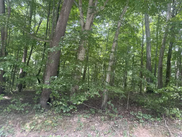 Clarksville, TN 37043,0 Harper
