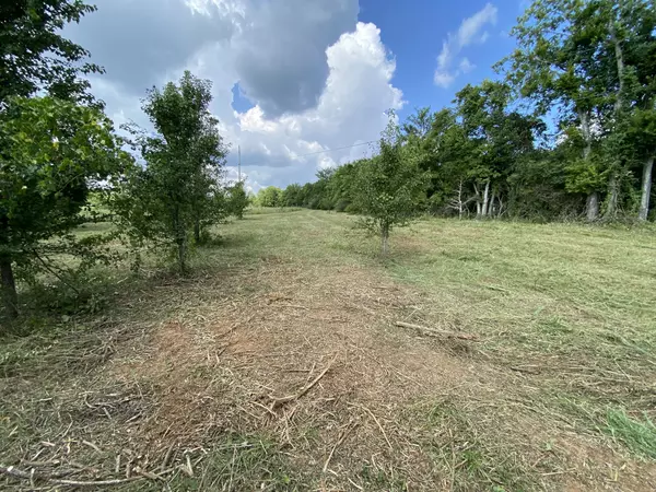 Lewisburg, TN 37091,2951 Roy McCollum Rd