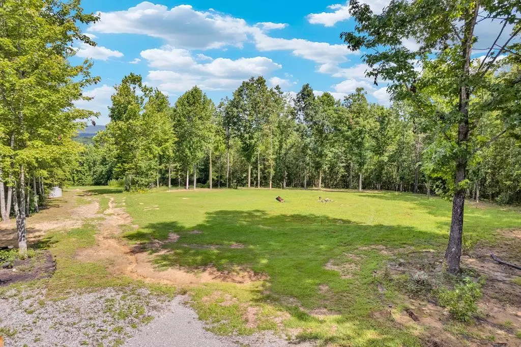 Grandview, TN 37337,1280 Soak Creek Ln