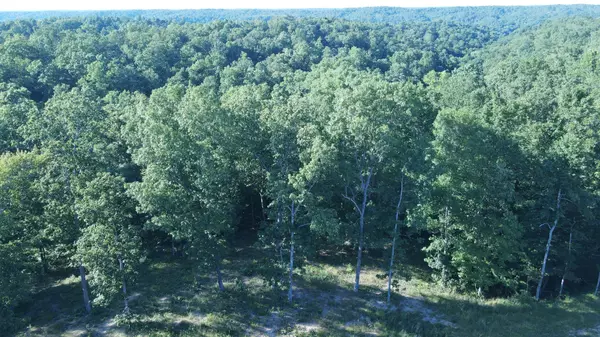 Linden, TN 37096,191 Briarwood
