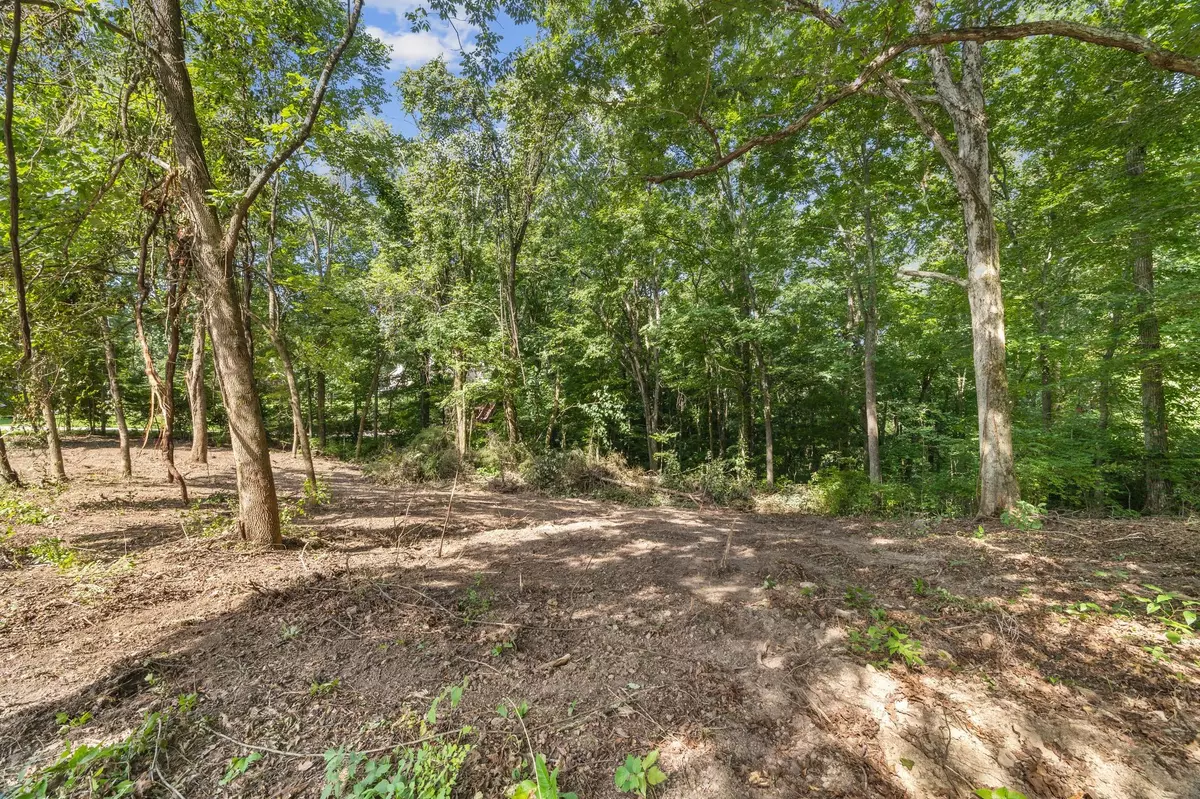 Pegram, TN 37143,0 Tanglewood Drive