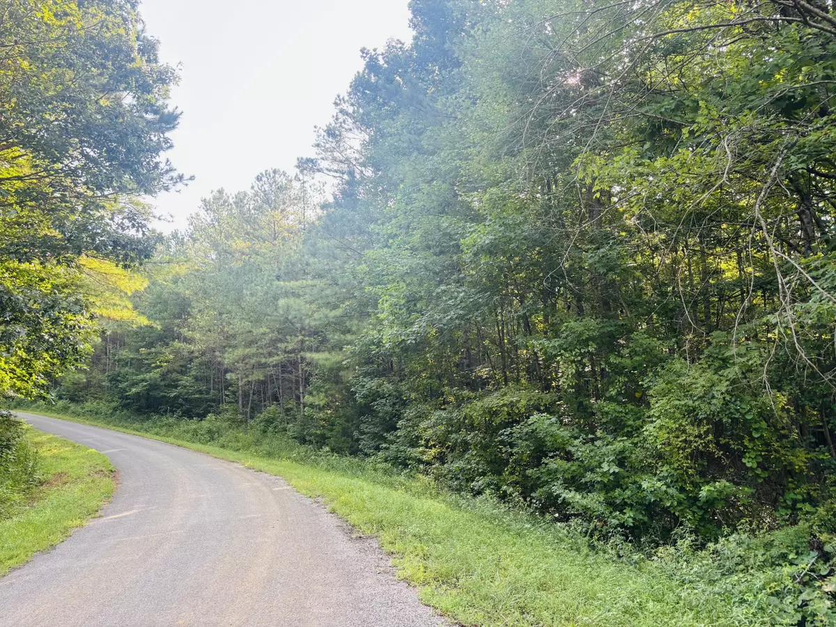 Reagan, TN 38368,0 Old Lula Road