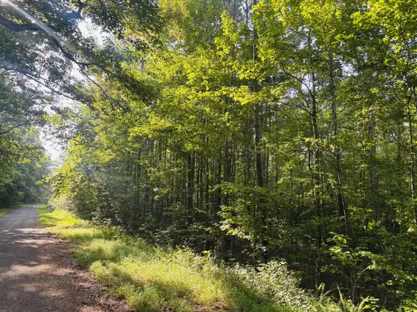 Reagan, TN 38368,0 Old Lula Road