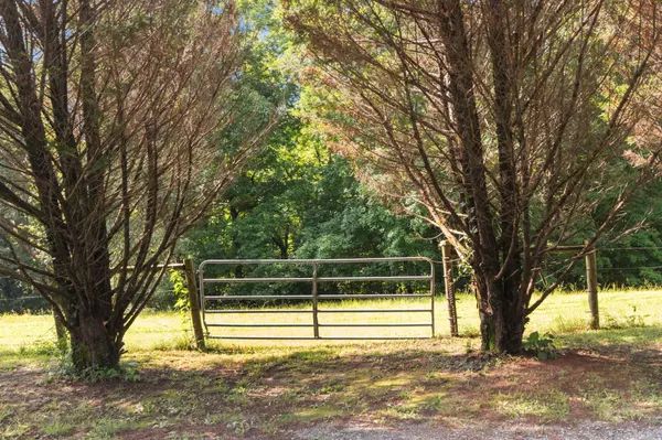 Charlotte, TN 37036,1922 Highway 49 #E