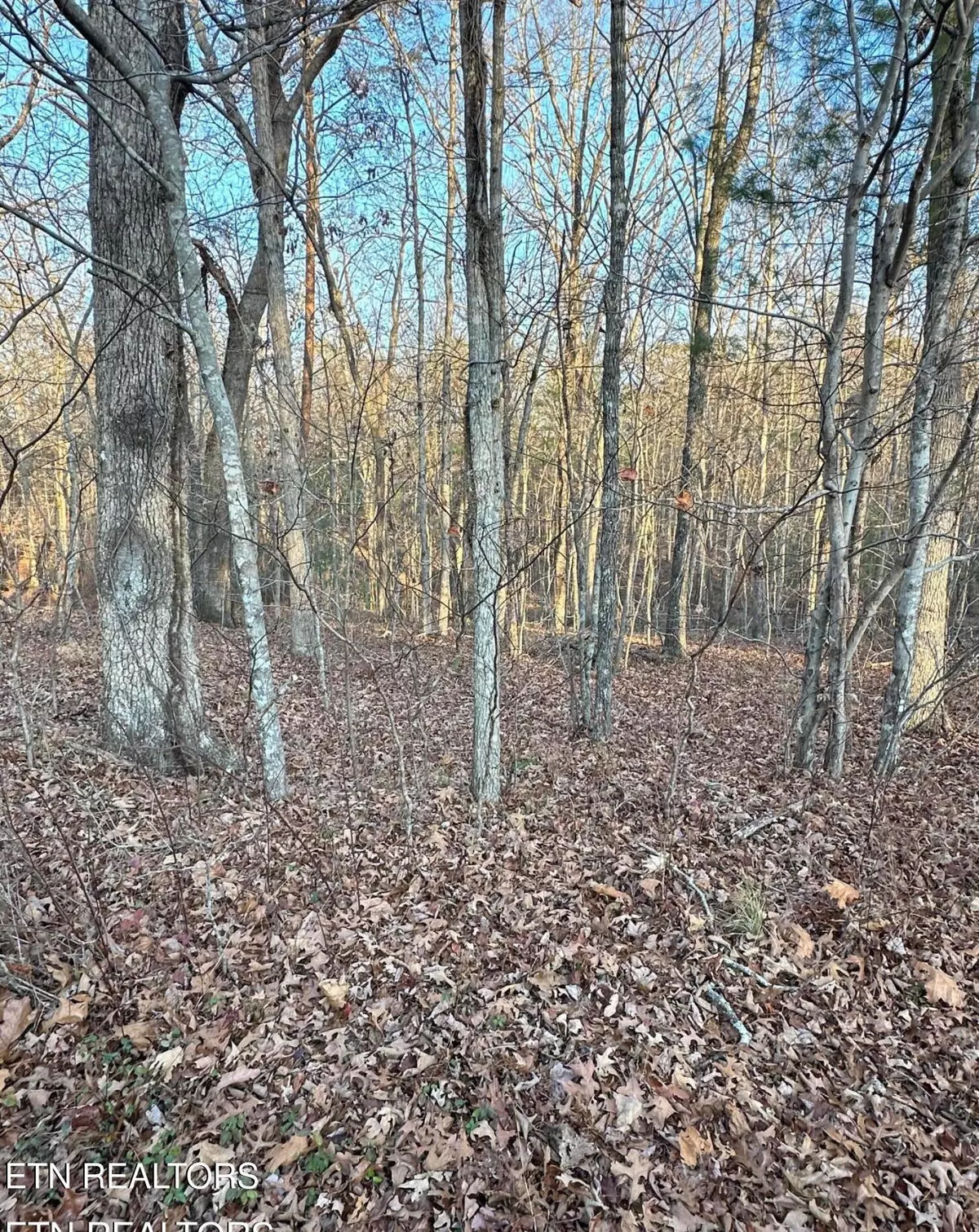 Crossville, TN 38558,21 Burnaby Court