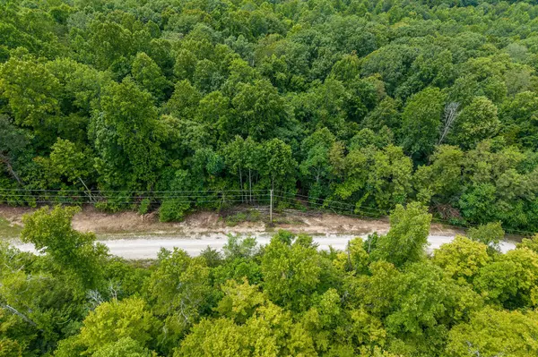 Wilder, TN 38589,0 Bobcat LN Lot 55 #W