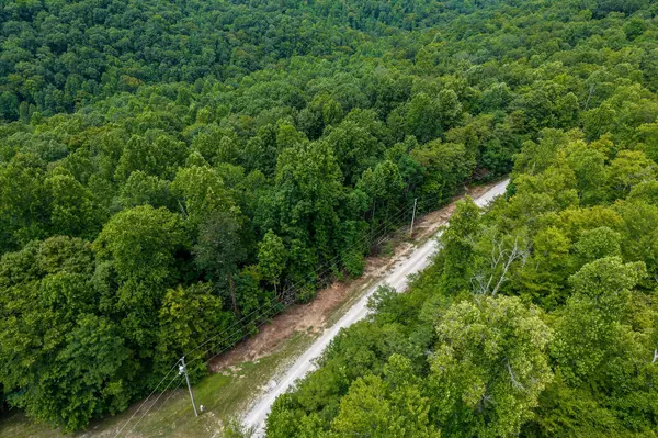 Wilder, TN 38589,0 Bobcat LN Lot 55 #W