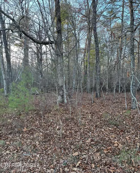 22 Burnaby Court, Crossville, TN 38558