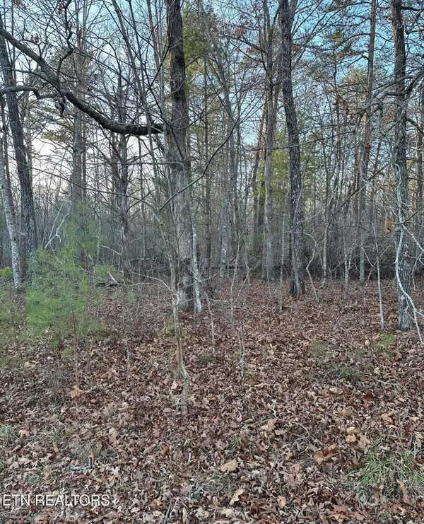 22 Burnaby Court, Crossville, TN 38558