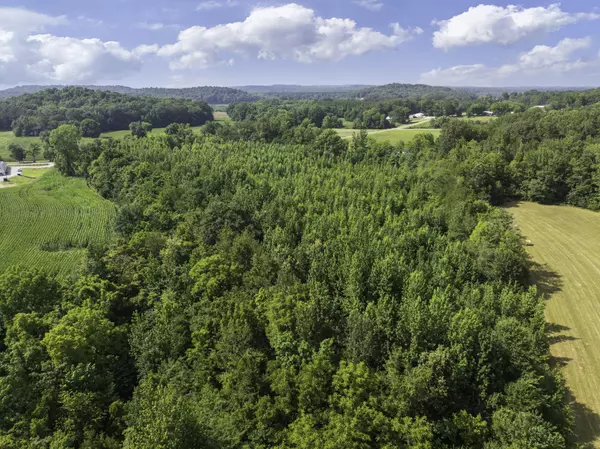 Decaturville, TN 38329,0 Highway 100 E