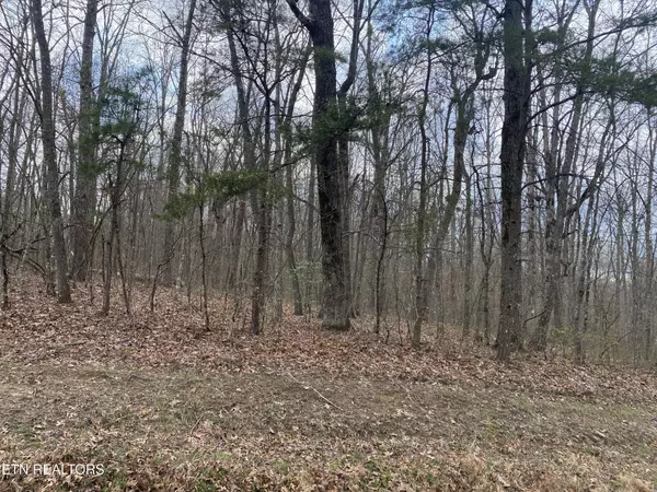 Monterey, TN 38574,1116 Bow Rd