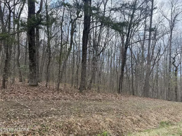 Monterey, TN 38574,1116 Bow Rd