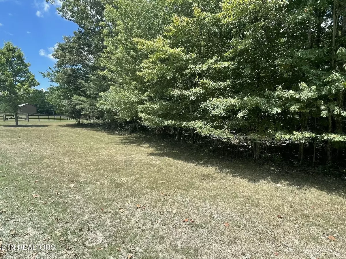 Spencer, TN 38585,0 Long Branch Rd