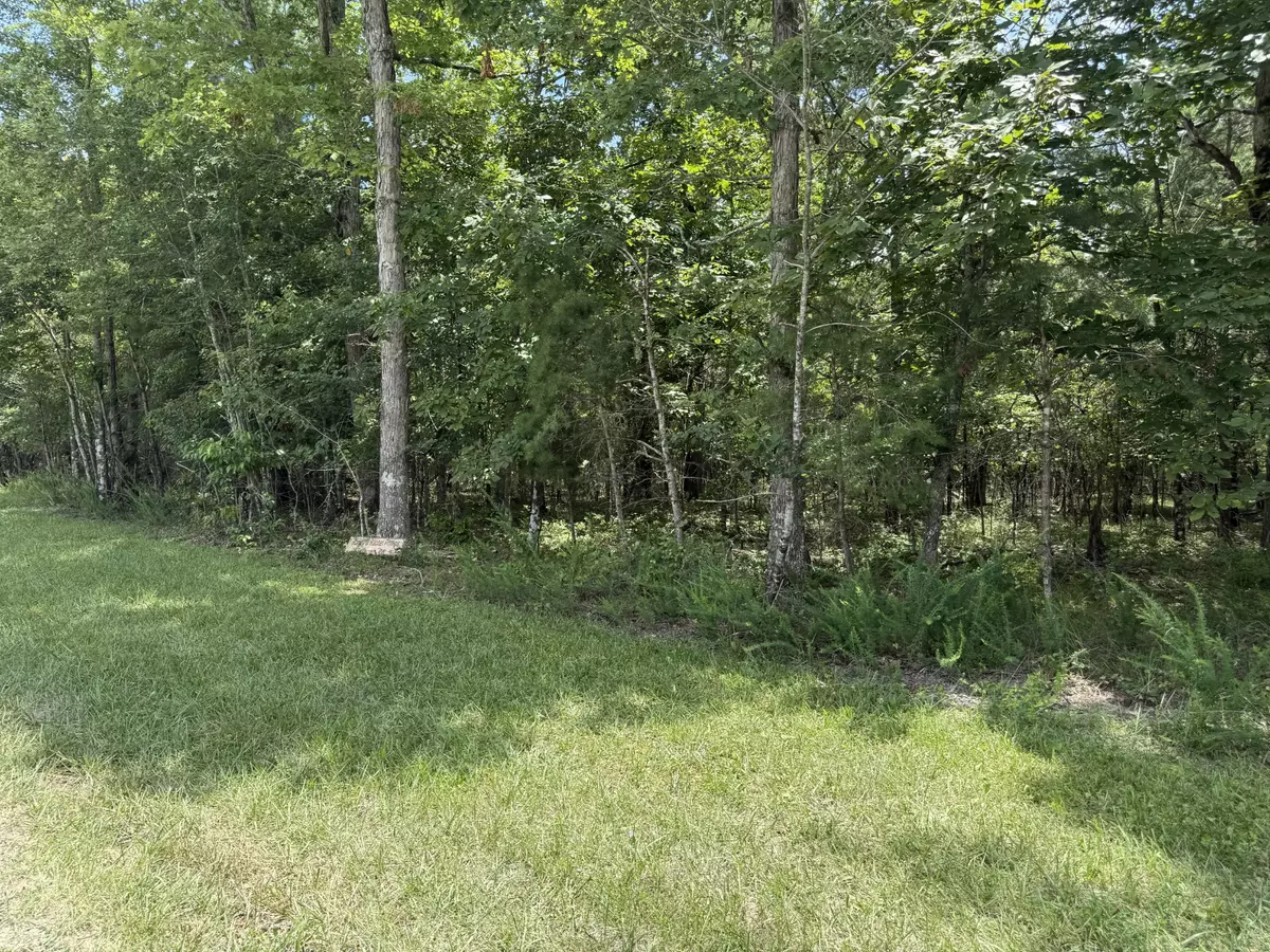 Spencer, TN 38585,0 Long Branch Rd