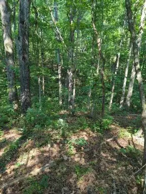 Nunnelly, TN 37137,1346 Elliot Rd